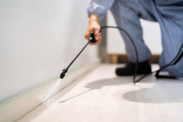 Licensed Mosquito Control service in Sacramento, CA - Nex Pest Control
