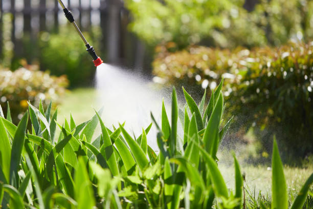 24/7 Emergency Mosquito Control experts in Sacramento, CA