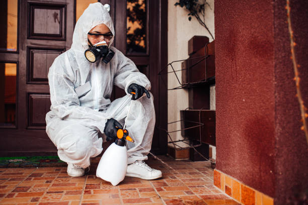 Reliable Mosquito Control contractor in Sacramento, CA by Nex Pest Control